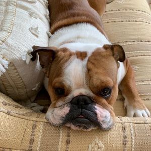 Meet your Posher, Mallory